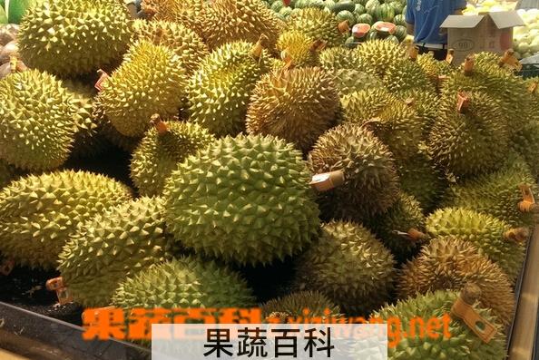 果蔬百科吃榴莲的好处有哪些