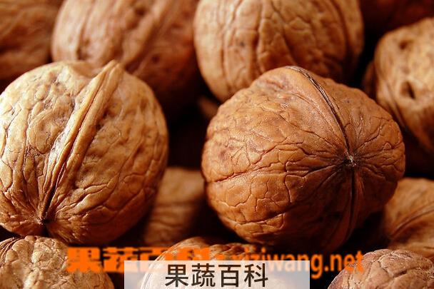 果蔬百科女性吃核桃的好处有哪些