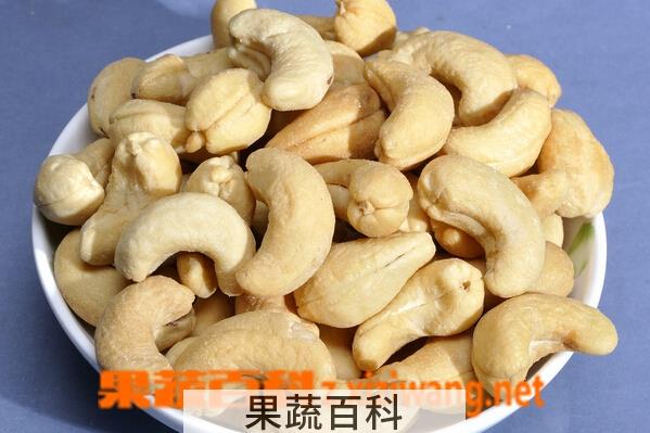 果蔬百科腰果的功效与作用