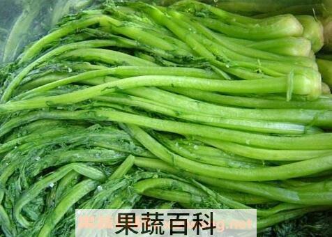 酸雪里蕻的腌制方法