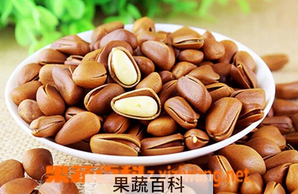 果蔬百科松子的营养价值与功效