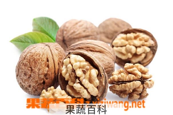 果蔬百科核桃的功效