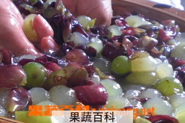果蔬百科自制葡萄酒的方法