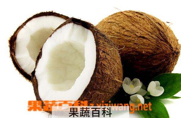 果蔬百科椰子的营养价值与功效