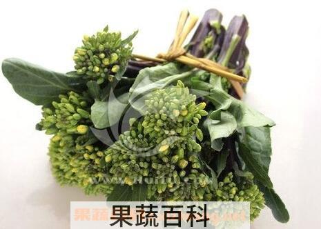 芥蓝菜花的功效与作用