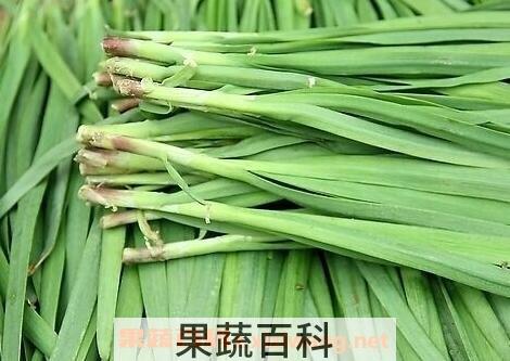 韭菜不能和什么一起吃 