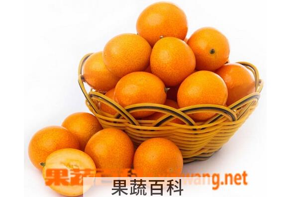 果蔬百科金桔的功效