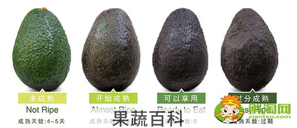牛油果怎么挑选熟的，牛油果怎么挑选那种最好