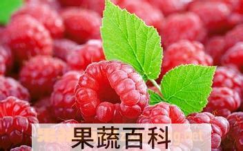 果蔬百科覆盆子的功效与作用