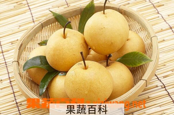 果蔬百科丰水梨