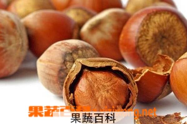 果蔬百科榛子的营养价值与功效