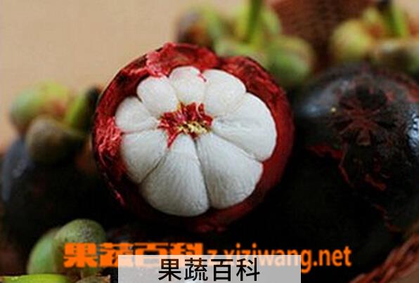 果蔬百科山竹怎么吃