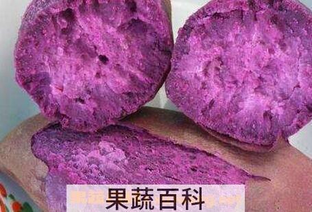  紫山芋的功效与作用