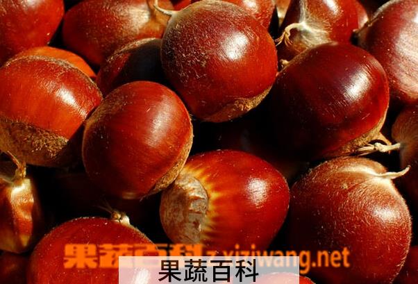 果蔬百科板栗不能和什么一起吃