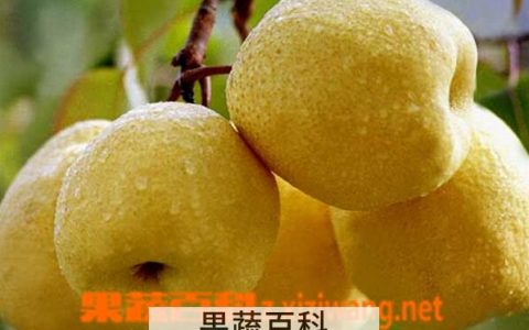 夏天上火怎么办 夏天吃什么水果蔬菜能去火气 夏天上火怎么办 夏天吃什么水果蔬菜能去火