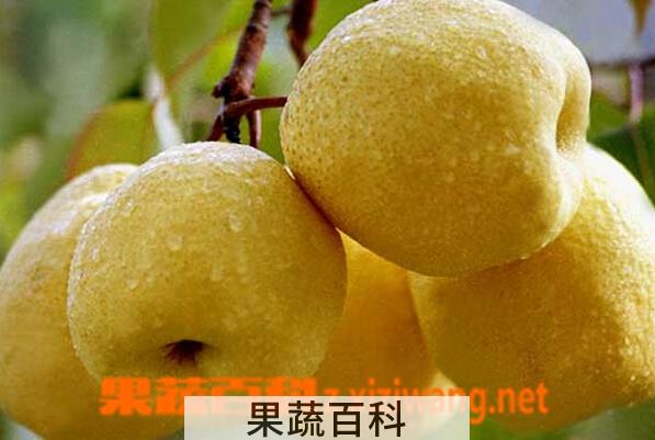 果蔬百科夏天吃什么蔬菜水果能去火