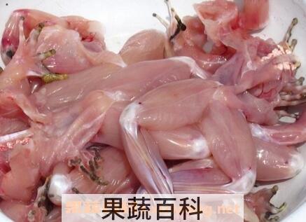 青蛙肉的功效与作用是什么