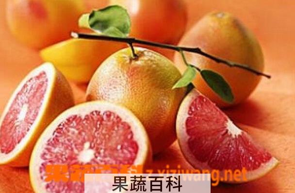 果蔬百科吃葡萄柚的三大好处