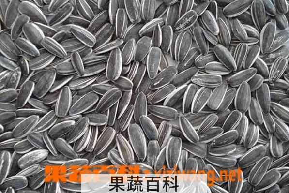 果蔬百科葵花籽的功效与作用
