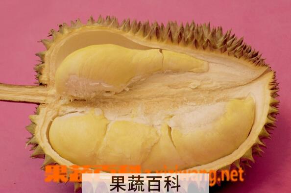 果蔬百科榴莲的常见吃法