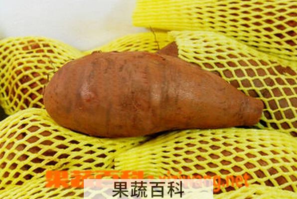 果蔬百科雪莲果的副作用与食用禁忌