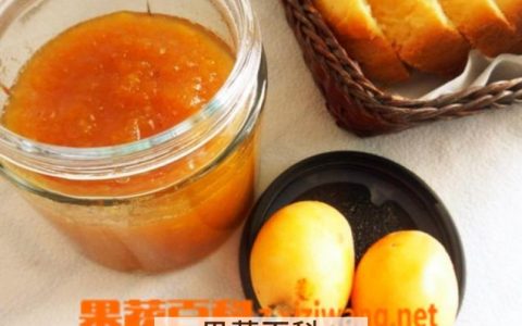 枇杷膏怎样制作方法 枇杷膏怎么做啊
