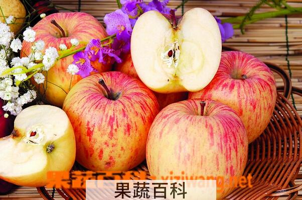 果蔬百科孕妇吃苹果的好处