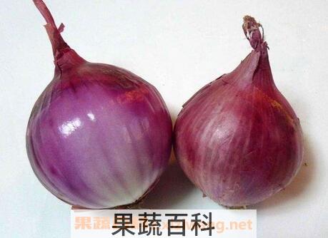 紫色洋葱的功效与作用