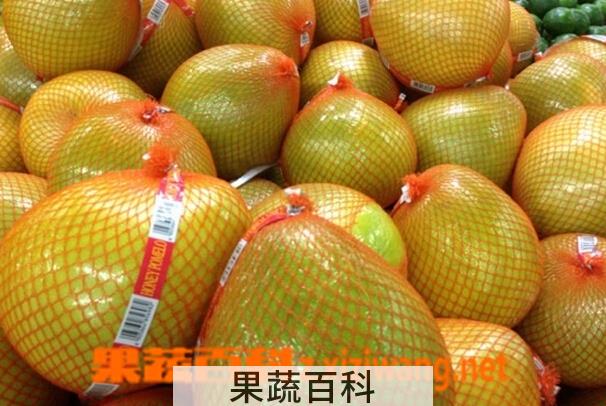 果蔬百科吃柚子好吗