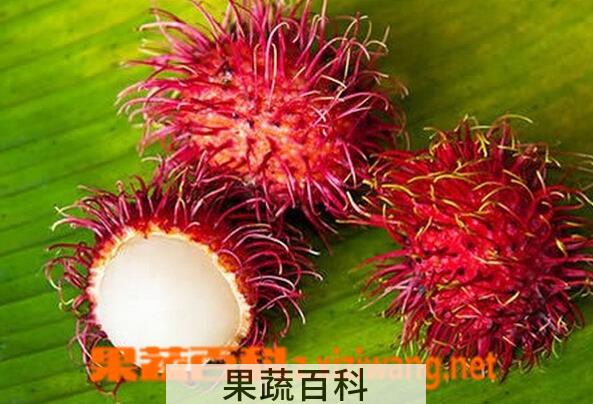 果蔬百科红毛丹