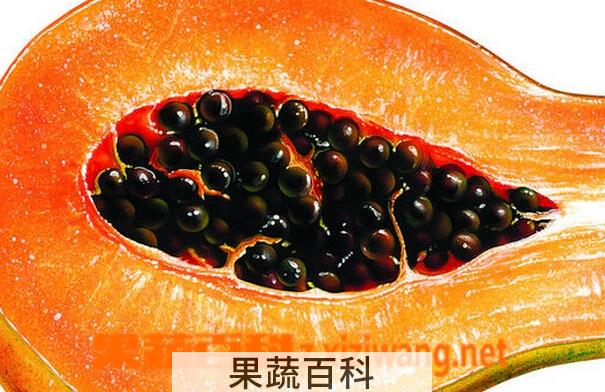 果蔬百科木瓜籽能吃吗