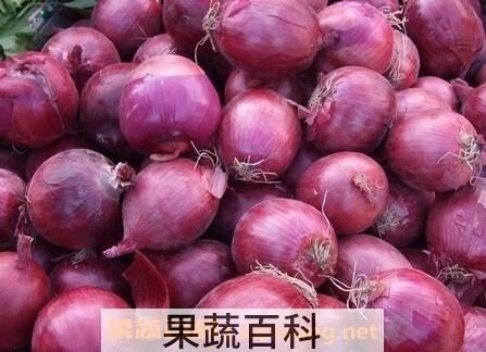 紫皮洋葱和白皮洋葱的区别