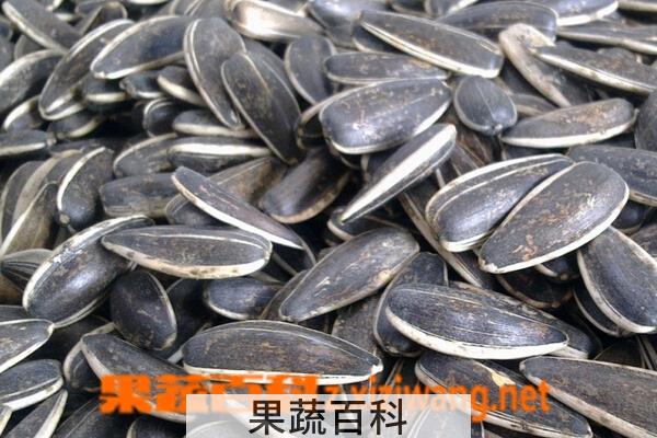 果蔬百科生瓜子的功效与作用