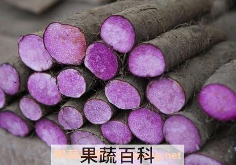 紫山药的功效与作用及禁忌