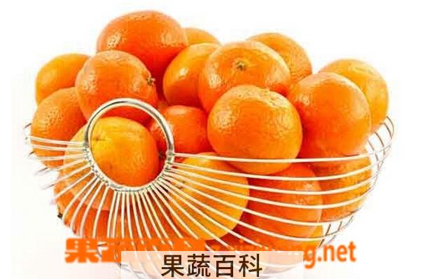果蔬百科小桔子