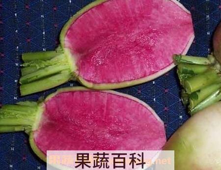  紫心萝卜的功效与作用