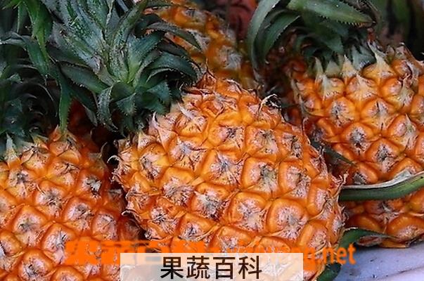 果蔬百科吃菠萝的坏处