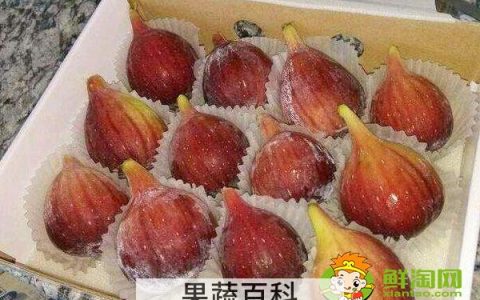 无花果蒸熟了可以冷冻吗，无花果蒸熟晒干还有营养吗