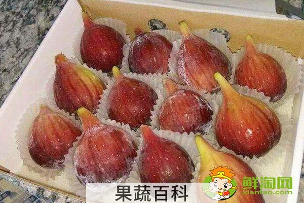 无花果蒸熟了可以冷冻吗，无花果蒸熟晒干还有营养吗