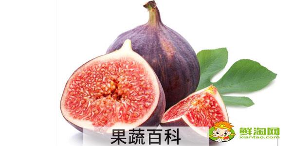 新鲜的无花果怎么保存到冬季，新鲜无花果怎么保存才能长途运输
