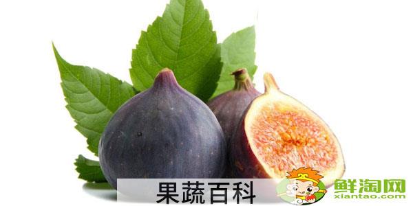 新鲜的无花果怎么保存到冬季，新鲜无花果怎么保存才能长途运输