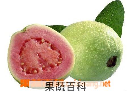 果蔬百科番石榴能降血糖吗 番石榴的好处