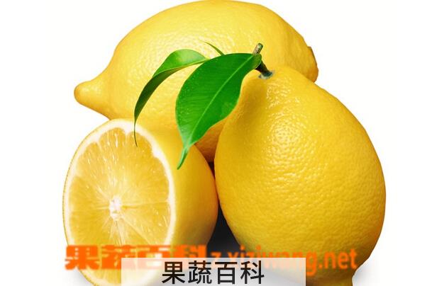果蔬百科柠檬的五大美白祛斑方