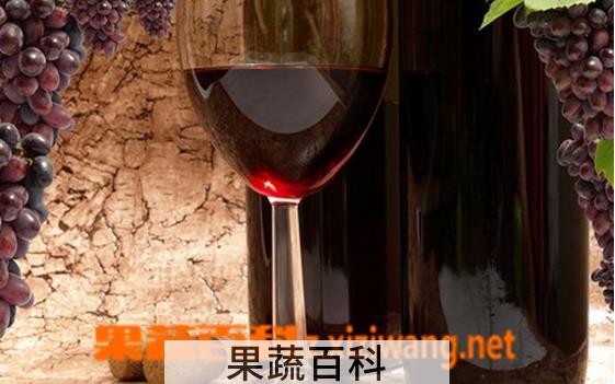 果蔬百科如何自制葡萄酒