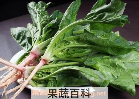 菠菜不能和什么一起吃 