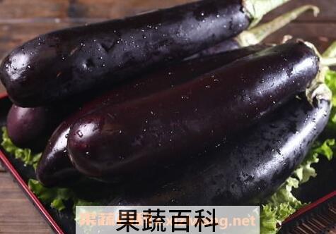 紫茄子的功效与作用