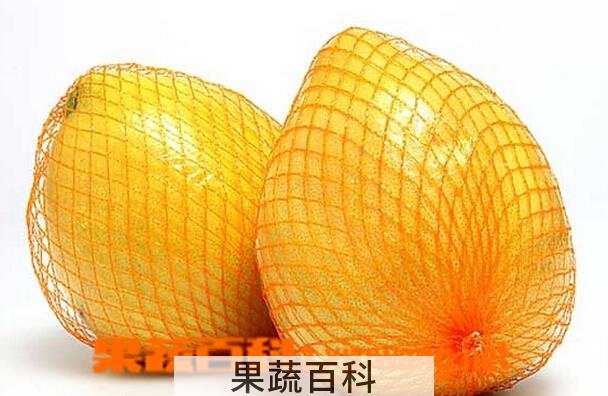 果蔬百科孕妇能吃柚子吗