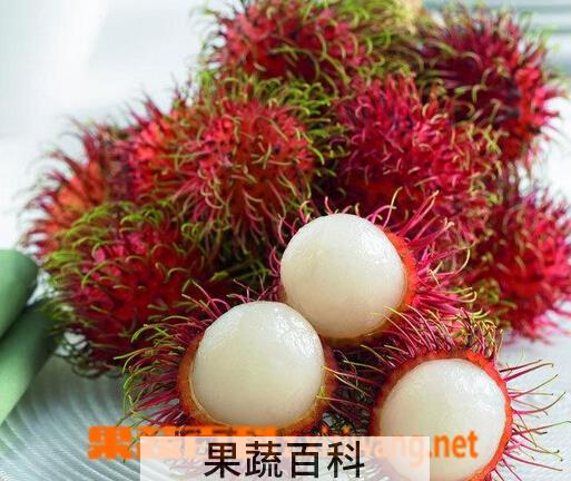 果蔬百科红毛丹