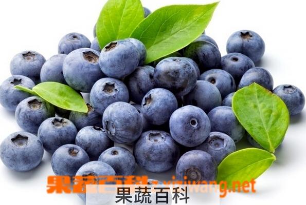 果蔬百科吃什么水果对眼睛好