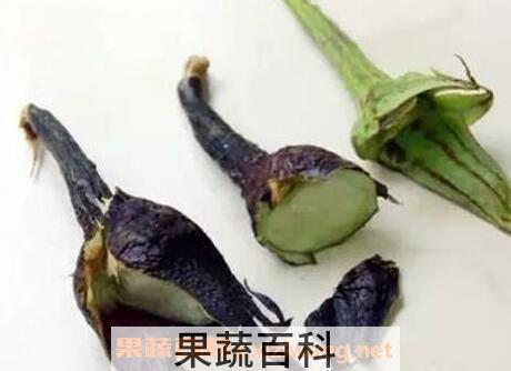 紫茄子把的功效与作用